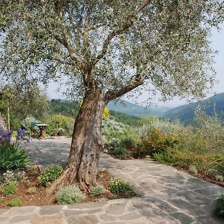 Sorgente Villa Santa Maria Albiano