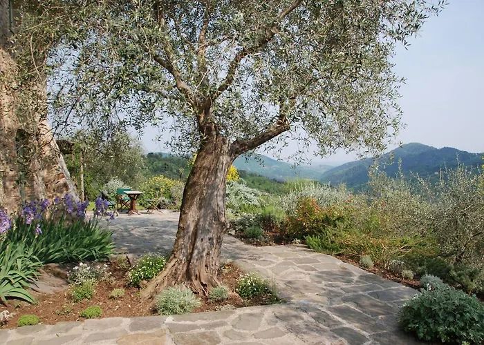 La Sorgente By Salogi Vila Santa Maria Albiano